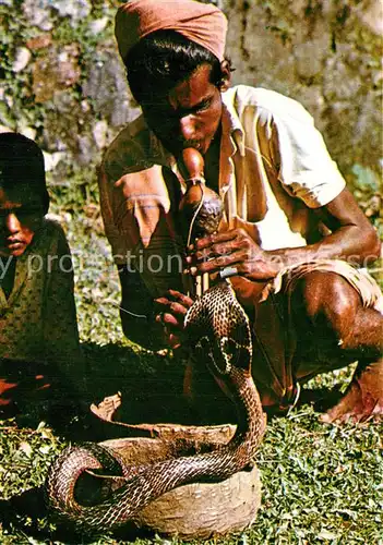 AK / Ansichtskarte Schlangen_Tiere Schlangenbeschw?rer Sri Lanka Snake Charmer  