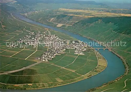 AK / Ansichtskarte Trittenheim_Mosel Fliegeraufnahme Trittenheim Mosel