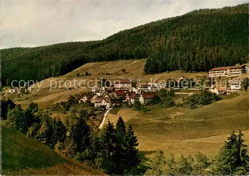 AK / Ansichtskarte Tonbach Panorama Tonbach