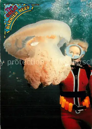 AK / Ansichtskarte Meerestiere Qualle The great barrier Reef North Queensland Giant Jellyfish 