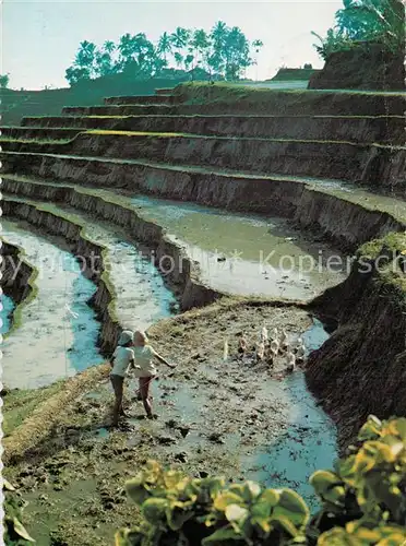 AK / Ansichtskarte Landwirtschaft Farmers Children Ducks Rice Field Bali Kuta Indonesien 
