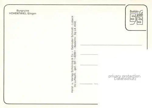 AK / Ansichtskarte Singen_Hohentwiel Fliegeraufnahme Burgruine Singen Hohentwiel