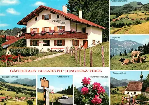 AK / Ansichtskarte Jungholz_Tirol Gaestehaus Elisabeth Giessenschwand Langenschwand Grenztafeln Alpenrosenblueten Alpvieh Daumenblick Jungholz Tirol