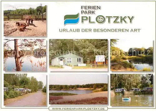 AK / Ansichtskarte Ploetzky Ferienpark Ploetzky Kleiner Waldsee Teilansichten Ploetzky