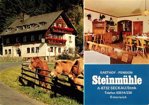 AK / Ansichtskarte Seckau Gasthof Pension Steinmuehle Gaststube Seckau