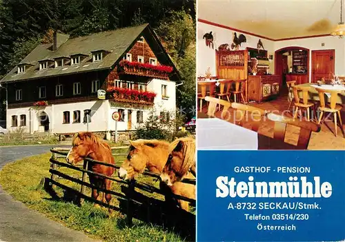 AK / Ansichtskarte Seckau Gasthof Pension Steinmuehle Gaststube Seckau