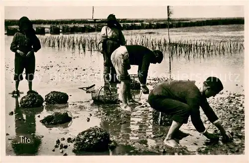 AK / Ansichtskarte Bassin_d_Arcachon La Peche aux Huitres Bassin_d_Arcachon