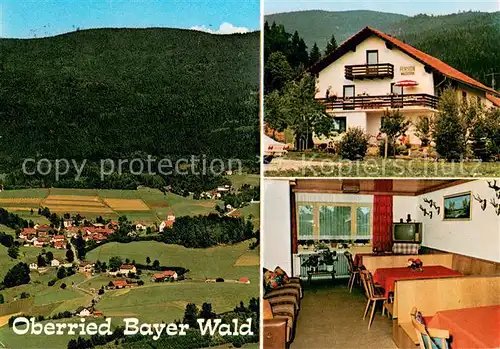 AK / Ansichtskarte Oberried_Viechtach Panorama Pension Waldesruhe Gaststube Oberried Viechtach
