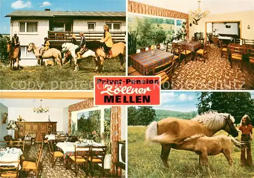 AK / Ansichtskarte Mellen_Sauerland Privat Penson Zoellner Gastraeume Stute mit Fohlen Mellen_Sauerland