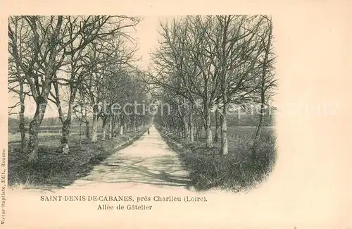AK / Ansichtskarte Saint Denis de Cabanne Allee de Gatelier Saint Denis de Cabanne