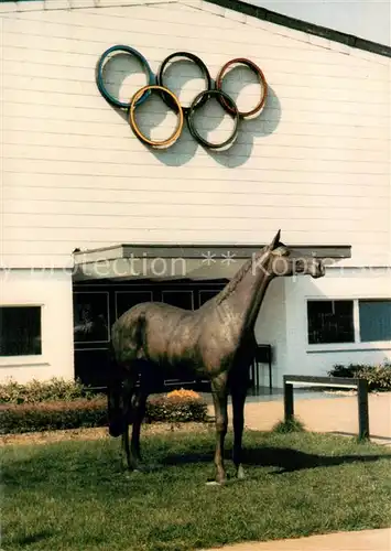 AK / Ansichtskarte Warendorf Wunderpferdstatue Halla 1945 1979 von Hans Guenter Winkler Warendorf