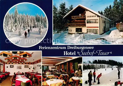 AK / Ansichtskarte Rothau_Tittling Hotel Seehof Tauer Gastraeume Eisschiessen Rothau Tittling