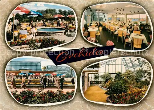 AK / Ansichtskarte Bruenninghausen Cafe Orchidee Botanischer Garten Bruenninghausen