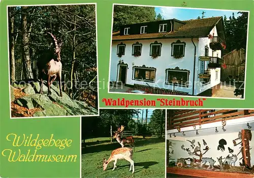 AK / Ansichtskarte Furth_Wald Waldpension Steinbruch Wildgehege Waldmuseum Furth_Wald