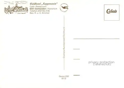 AK / Ansichtskarte Gemuenden_Hunsrueck Panorama Cafe Restaurant Waldhotel Kegelbahn Liegewiese Gemuenden Hunsrueck