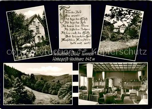 AK / Ansichtskarte Hohegeiss_Harz Waldhotel Dicke Tannen Terrasse Gastraum Hohegeiss Harz