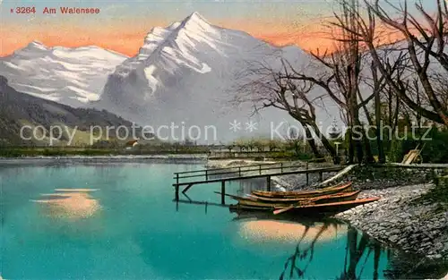 AK / Ansichtskarte Walensee Am Walensee Walensee