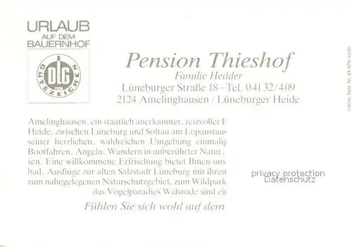 AK / Ansichtskarte Amelinghausen_Lueneburger_Heide Pension Thieshof Amelinghausen_Lueneburger