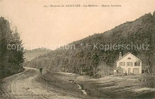 AK / Ansichtskarte Saint Die des Vosges Les Molieres Maison forestiere Saint Die des Vosges