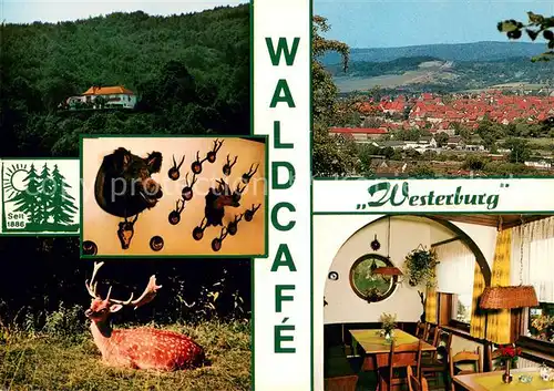 AK / Ansichtskarte Bad_Sooden Allendorf Waldcafe Westerburg Gaststube Panorama Hirsch Bad_Sooden Allendorf
