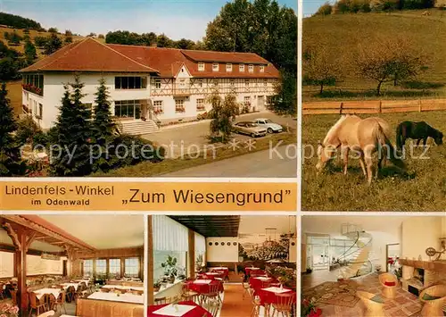 AK / Ansichtskarte Winkel_Odenwald Restaurant Pension Zum Wiesengrund Gastraeume Pferdekoppel Winkel Odenwald