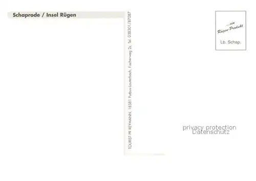 AK / Ansichtskarte Schaprode Fliegeraufnahme Schaprode