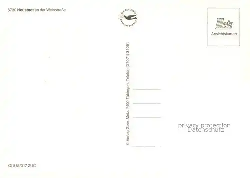 AK / Ansichtskarte Neustadt_Weinstrasse Fliegeraufnahme Neustadt_Weinstrasse