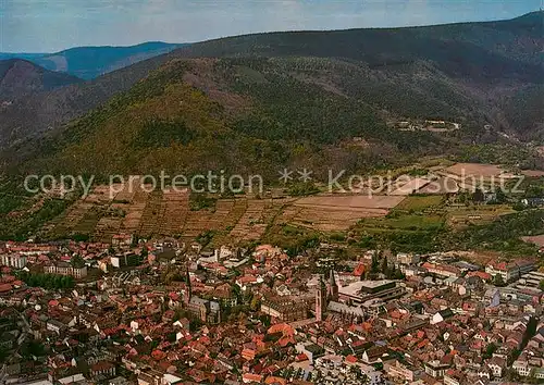 AK / Ansichtskarte Neustadt_Weinstrasse Fliegeraufnahme Neustadt_Weinstrasse