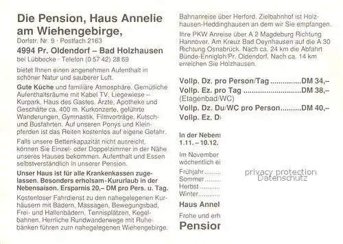 AK / Ansichtskarte Bad_Holzhausen_Luebbecke Pension Haus Annelie Gartenterrasse Brunnen Bad_Holzhausen_Luebbecke