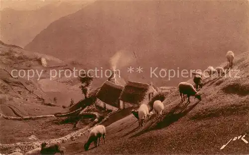 AK / Ansichtskarte Schafe Gavarnie Paturages  