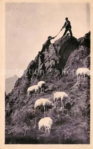 AK / Ansichtskarte Schafe Les Pyrenees Escalade en Montagne 