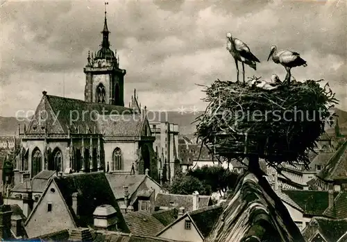 AK / Ansichtskarte Colmar_Haut_Rhin_Elsass Nid de Cigognes avec vue sur la Cathedrale Colmar_Haut_Rhin_Elsass