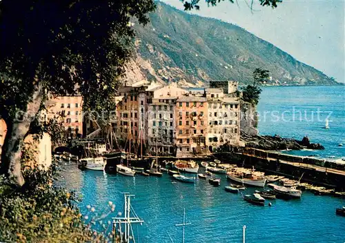 AK / Ansichtskarte Camogli Golfo Paradiso Camogli