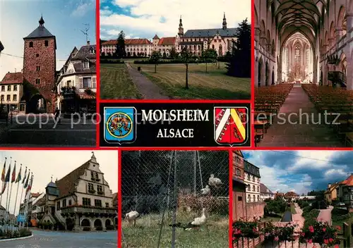 AK / Ansichtskarte Molsheim Vue partielle Molsheim
