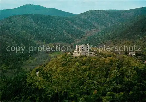 AK / Ansichtskarte Hambach_Neustadt Hambacher Schloss Fliegeraufnahme Hambach_Neustadt