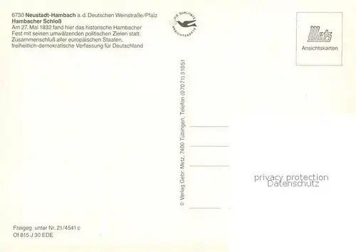 AK / Ansichtskarte Hambach_Neustadt Hambacher Schloss Fliegeraufnahme Hambach_Neustadt