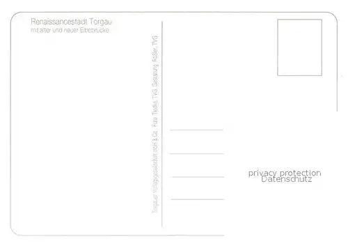 AK / Ansichtskarte Torgau Renaissancestadt Elbebruecke Fliegeraufnahme Torgau