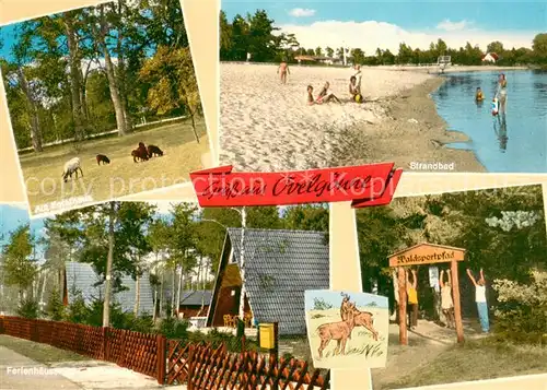 AK / Ansichtskarte Ovelgoenne Pferdkoppel Strandbad Ferienhaeuser Waldsportpfad Ovelgoenne
