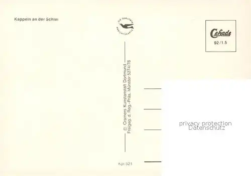 AK / Ansichtskarte Kappeln_Schlei Fliegeraufnahme Kappeln_Schlei