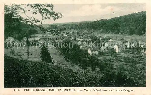 AK / Ansichtskarte Terre_Blanche Vue generale sur les Usines Peugot Terre_Blanche
