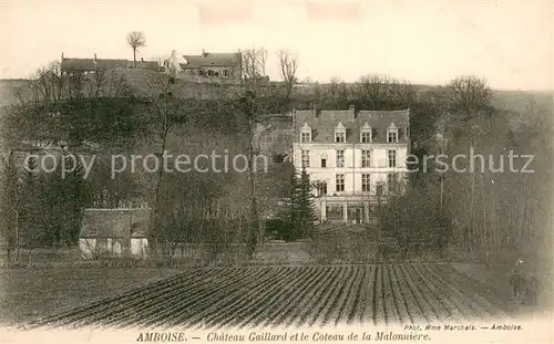 AK / Ansichtskarte Amboise Chateau Gaillard et le Coteau de la Malonniere Amboise