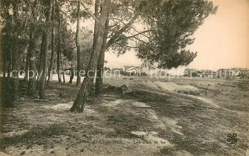 AK / Ansichtskarte Argeles sur Mer Les Pins et les Villas Argeles sur Mer