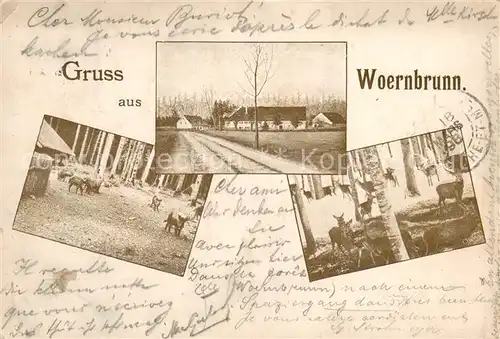 AK / Ansichtskarte Woernbrunn_Muenchen Teilansichten Wildgehege Woernbrunn Muenchen