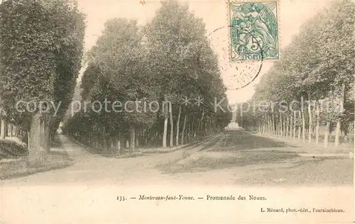 AK / Ansichtskarte Montereau Fault Yonne Promenade des Noues Montereau Fault Yonne