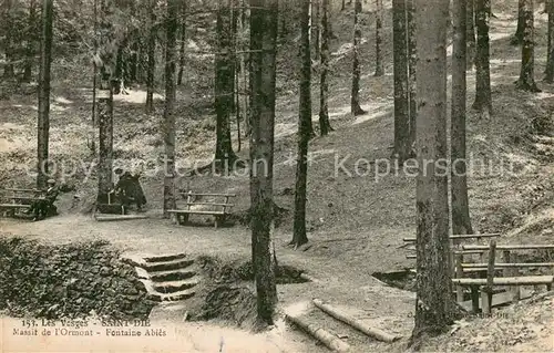 AK / Ansichtskarte Saint Die des Vosges Massif de l Ormont Fontaine Abies Saint Die des Vosges