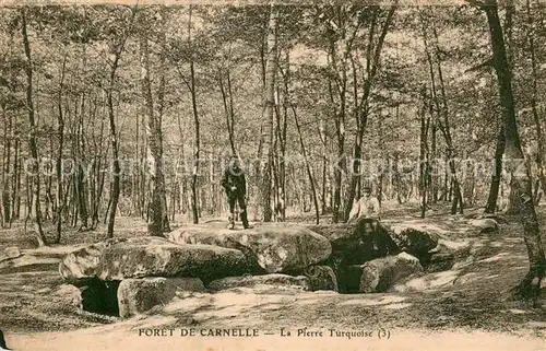 AK / Ansichtskarte Foret_de_Carnelle_Saint Martin du Tertre La Pierre Turquoise Foret Nature 