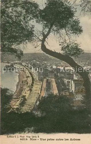 AK / Ansichtskarte Nice_Alpes_Maritimes Vue prise entre les Arbree Nice_Alpes_Maritimes