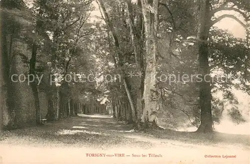 AK / Ansichtskarte Torigni sur Vire Sous les Tilleuls Torigni sur Vire