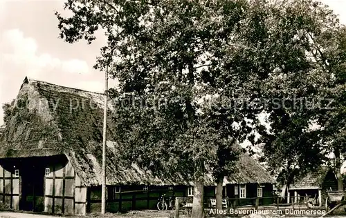 AK / Ansichtskarte Duemmersee_Mecklenburg Vorpommern Altes Bauernhaus am Duemmersee Duemmersee