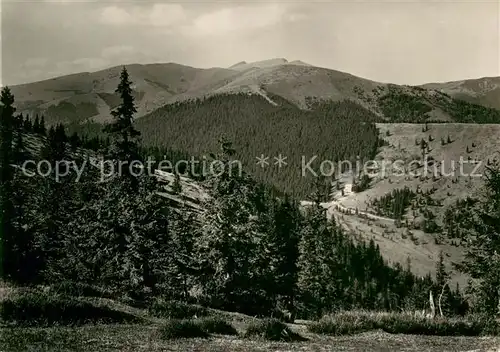AK / Ansichtskarte Nizke_Tatry Certovica V pozadi Dumbier Landschaftspanorama Tatra Nizke Tatry